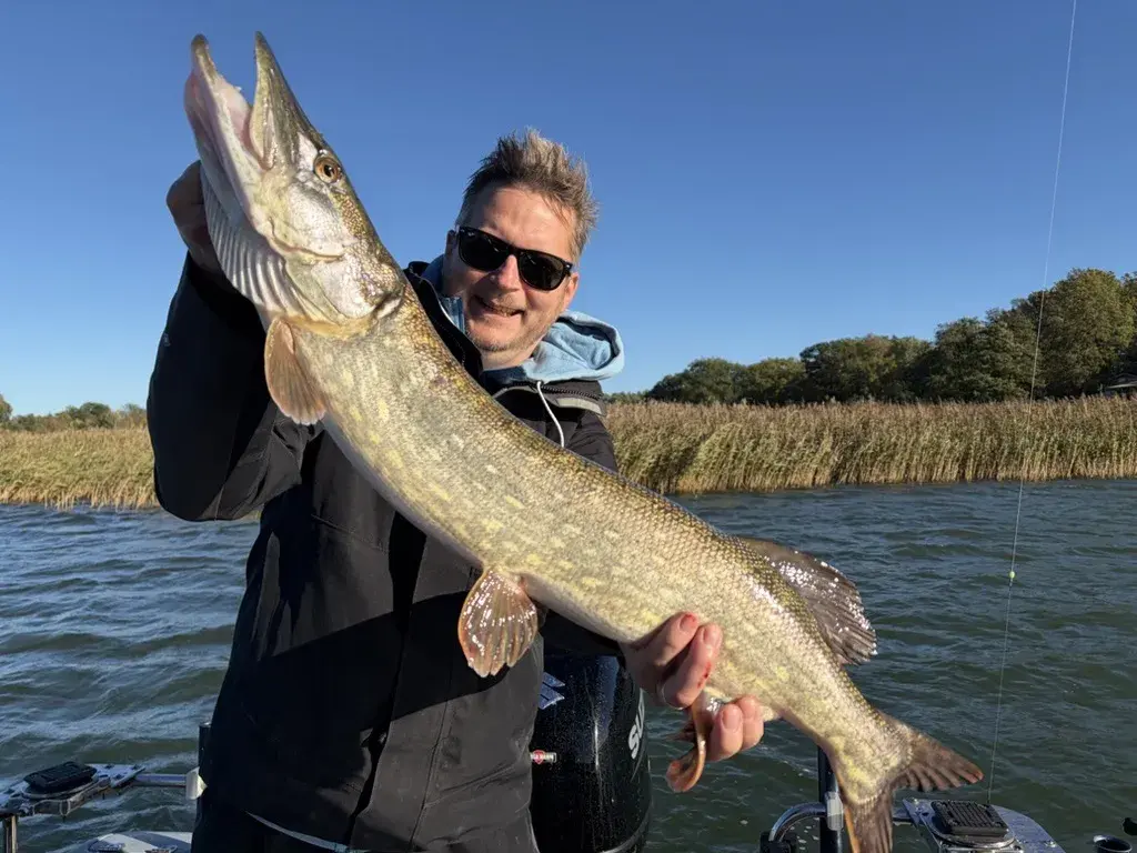 Längst gädda, 85 cm: Marcus Ljung